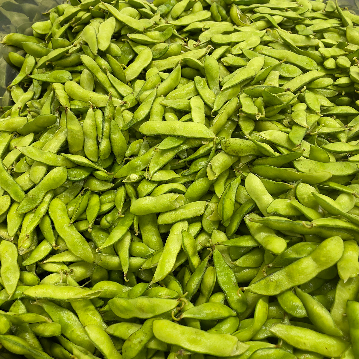 高山村産 【冷凍】さや付き枝豆　500g