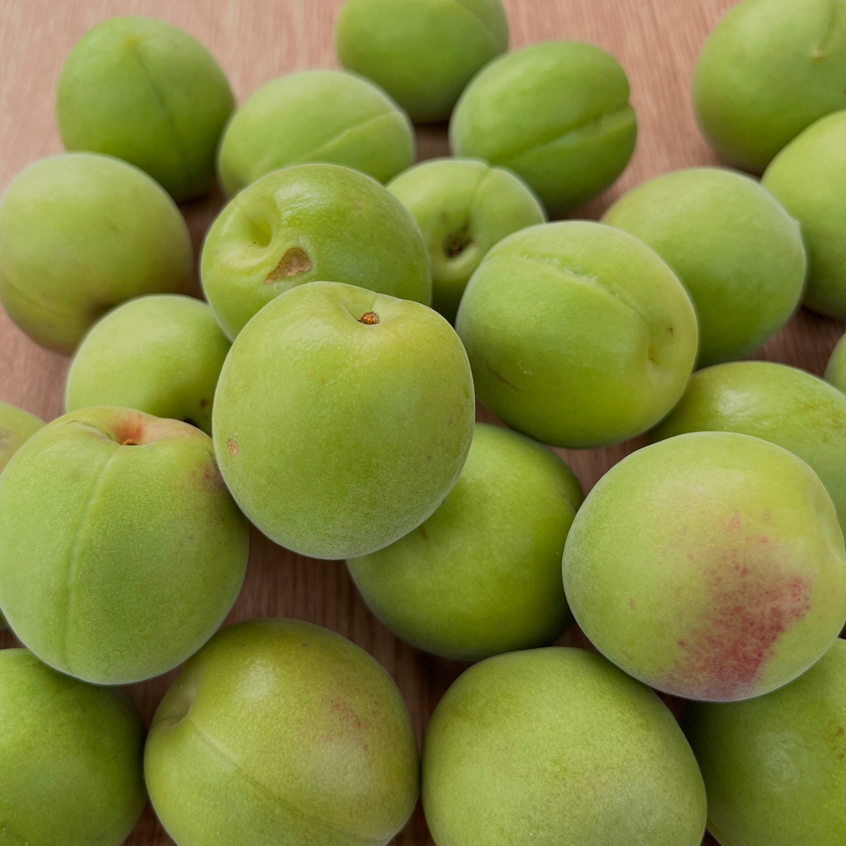 白加賀（青梅1kg）
