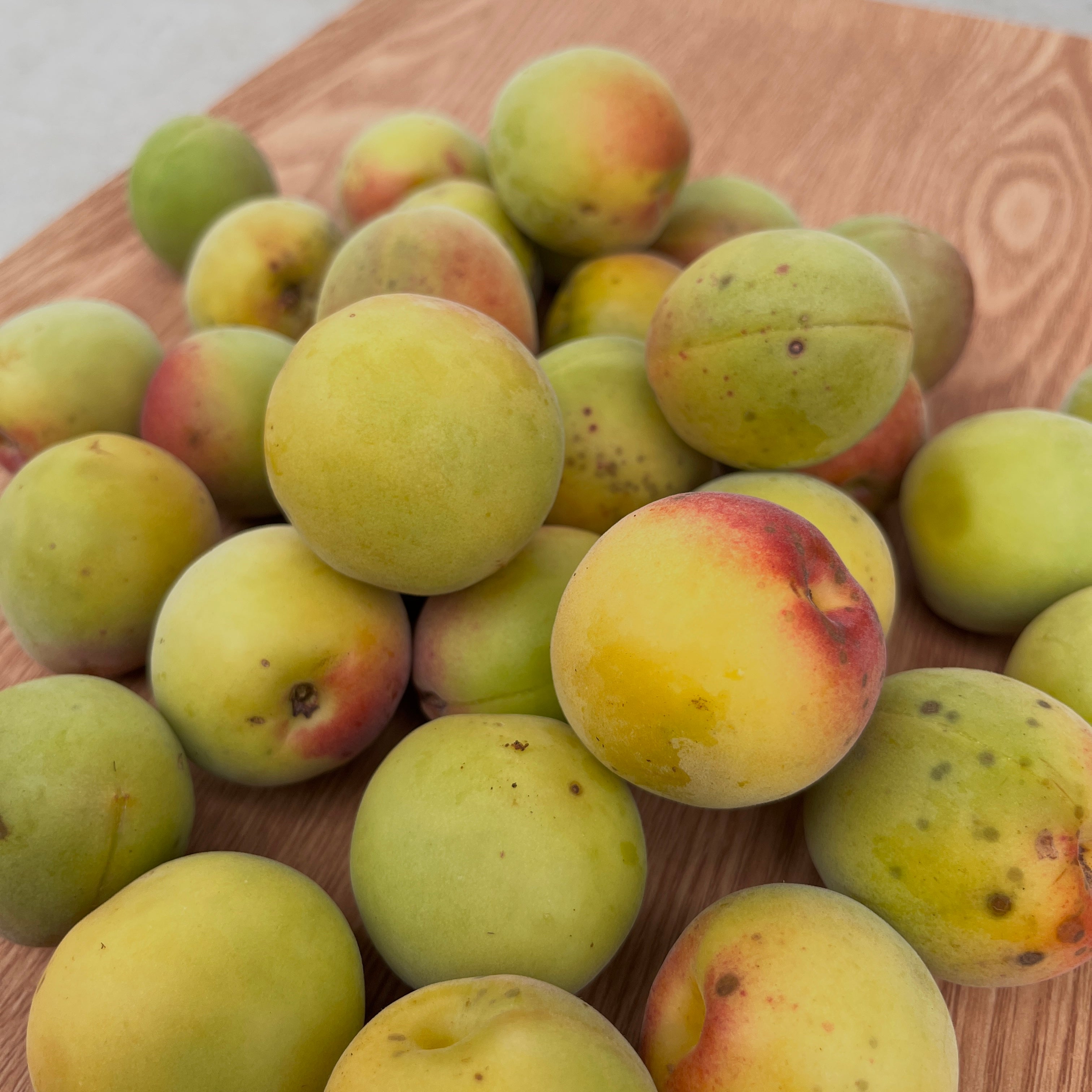 白加賀（黄梅1kg）